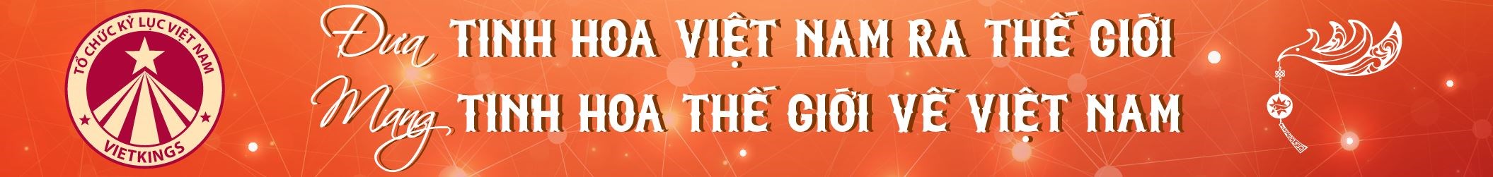 Kỷ lục Việt Nam