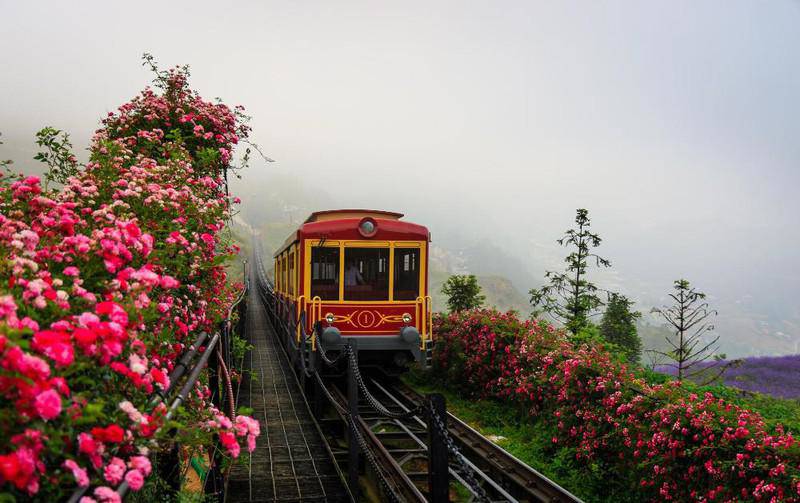 Thung lũng hoa hồng có diện tích lên tới 50.000m2, trải dài dọc theo đường tàu hoả leo núi Mường Hoa từ thị trấn Sa Pa đến khu vực ga đi cáp treo, với hơn 300.000 gốc hồng, quy tụ hơn 150 giống hồng danh tiếng nhất Sa Pa, Việt Nam và thế giới.