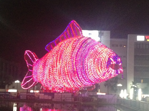 Lồng đèn cá chép có chiều cao 15 m, dài 32 m, kết từ hơn 5.000 đèn lồng nhỏ, bên trong là 5.000 bóng đèn led.