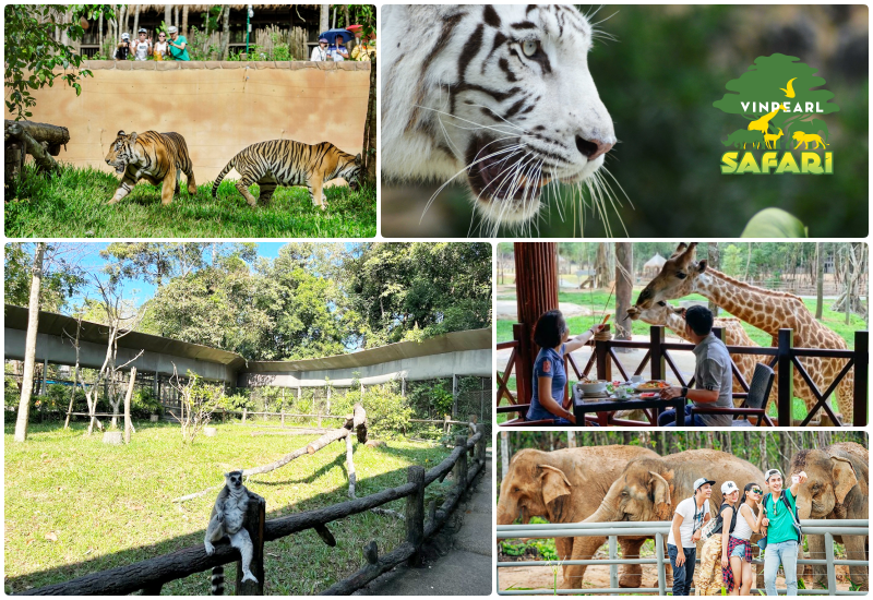 Tại Khu vườn thú mở, du khách được ngắm nhìn các động vật trong không gian chuồng mở, chỉ cách động vật bằng các hào nước hoặc hàng rào tầm vừa.