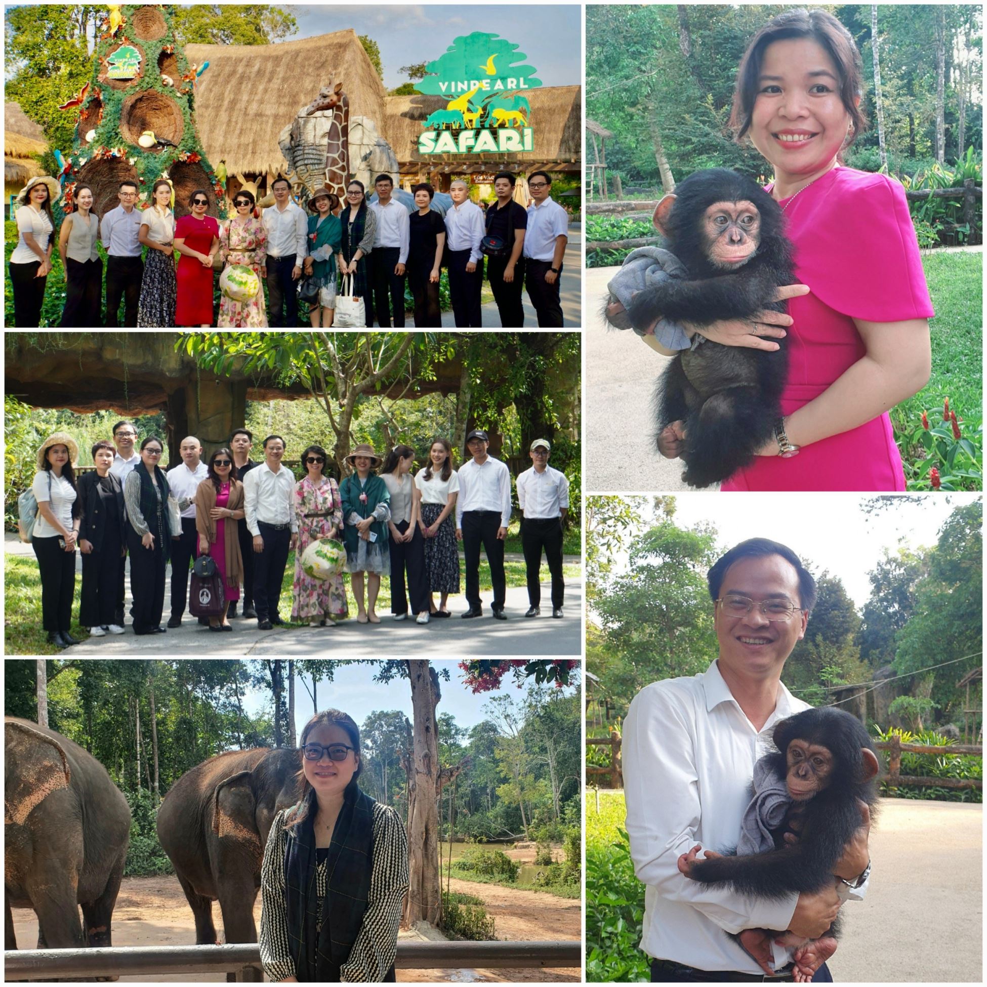 Đoàn đại diện Tổ chức Kỷ lục Việt Nam tham quan tại Vinpearl Safari Phú Quốc.