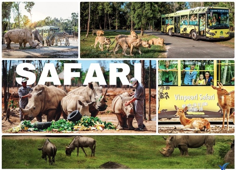 Khu bán hoang dã, khách ngắm nhìn các loài động vật đi lại tự do qua xe buýt theo kiểu "người nhốt thú thả".