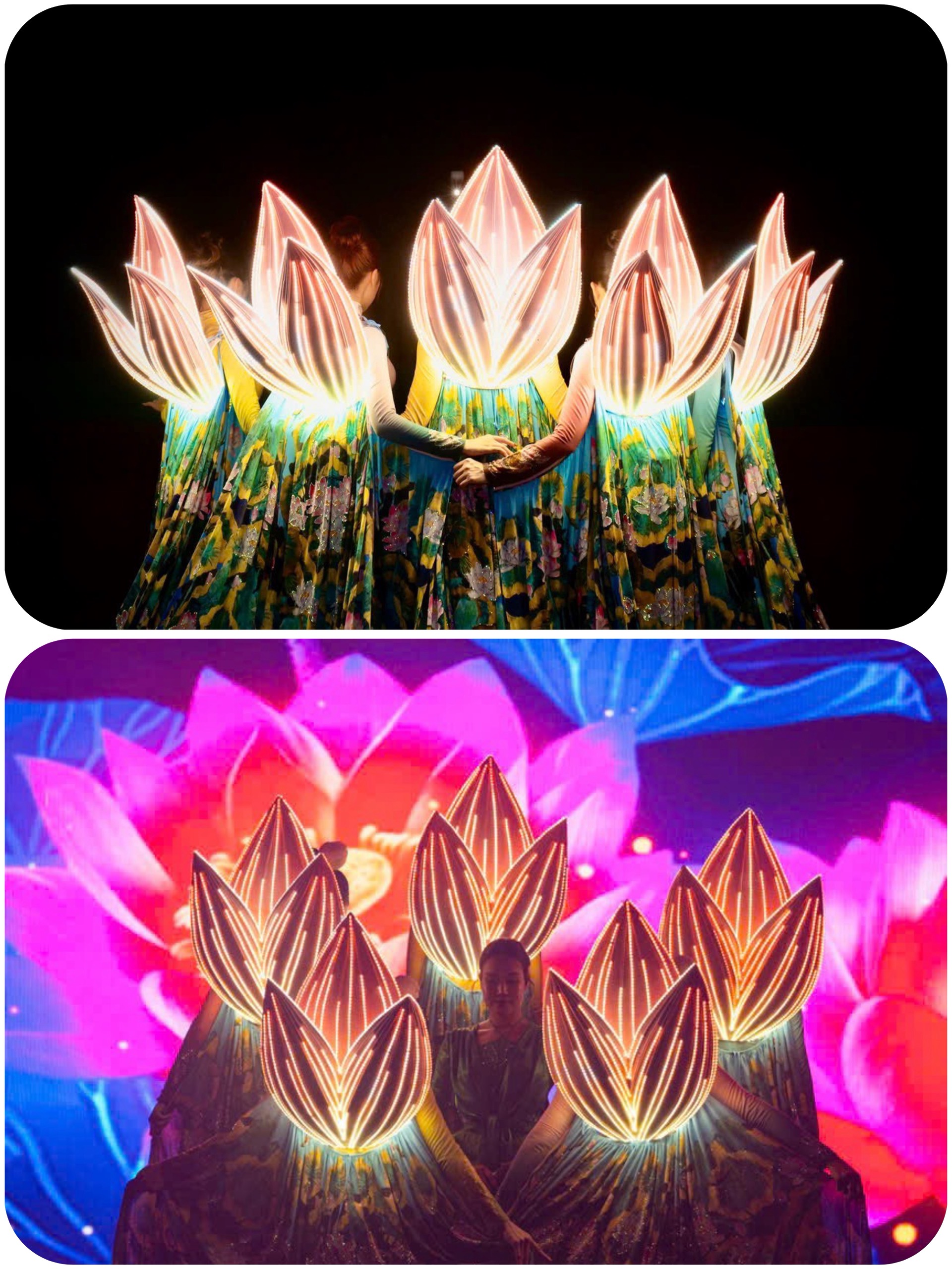 Bộ sưu tập áo dài " Ngũ Liên Hương"